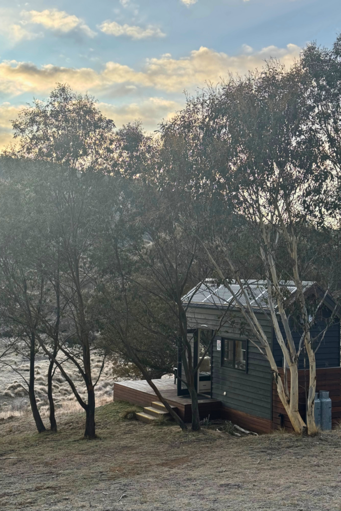 Tiny house surrounded by bushland.