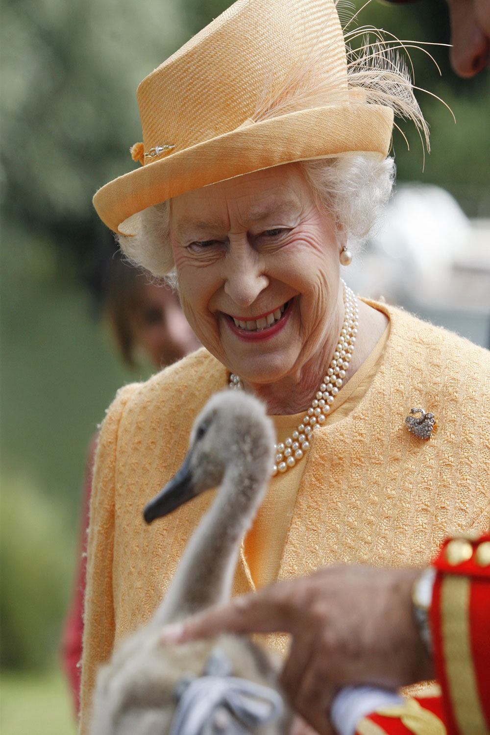 Queen Elizabeth's swans may have been killed by bird flu outbreak | WHO