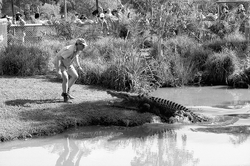 A black & white image of Steve Irwin approaching a crocodile