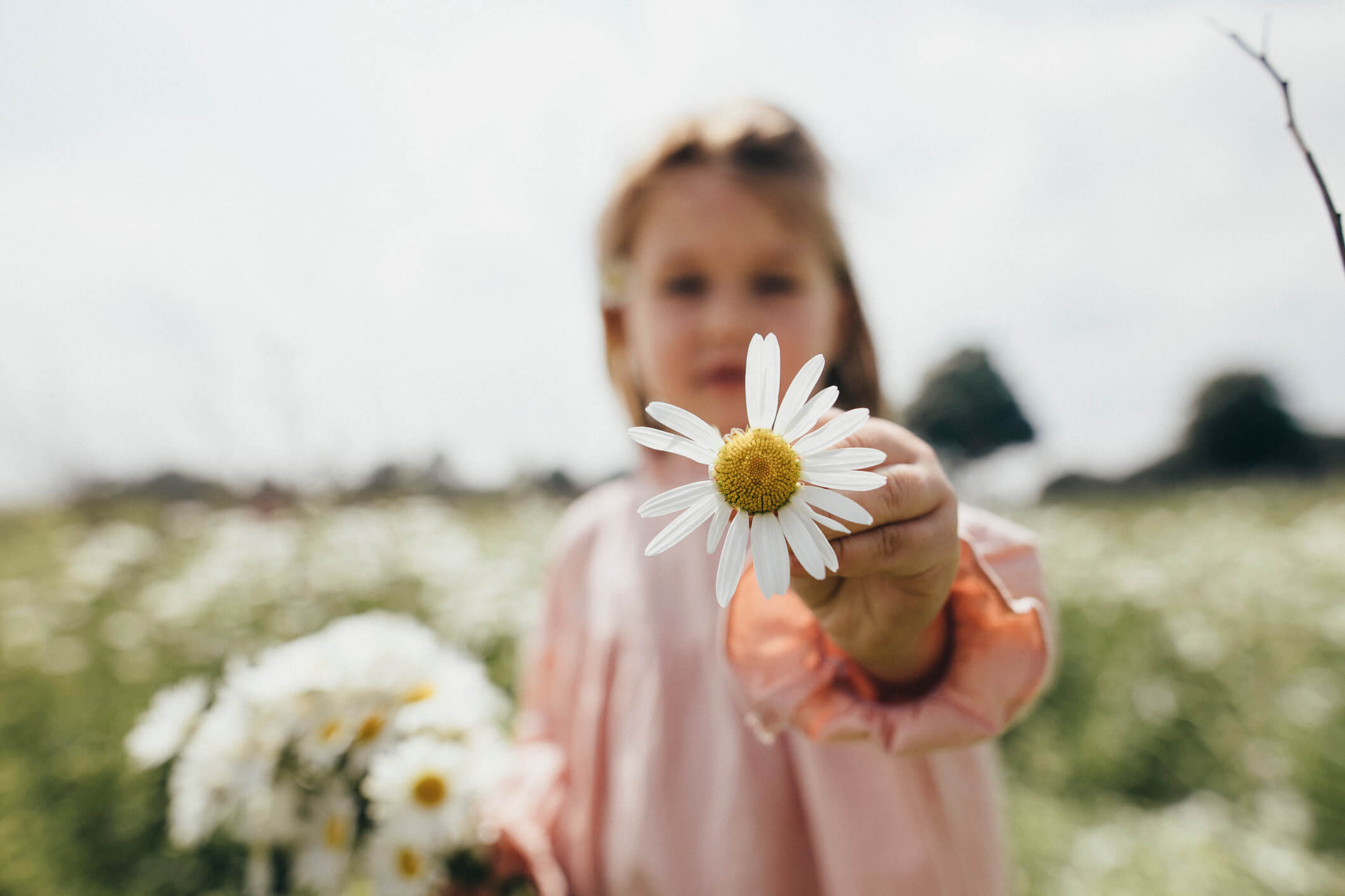 A shallow focus show of a young girl holding a flower